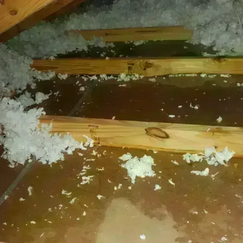 Attic Water Damage in Ina, IL