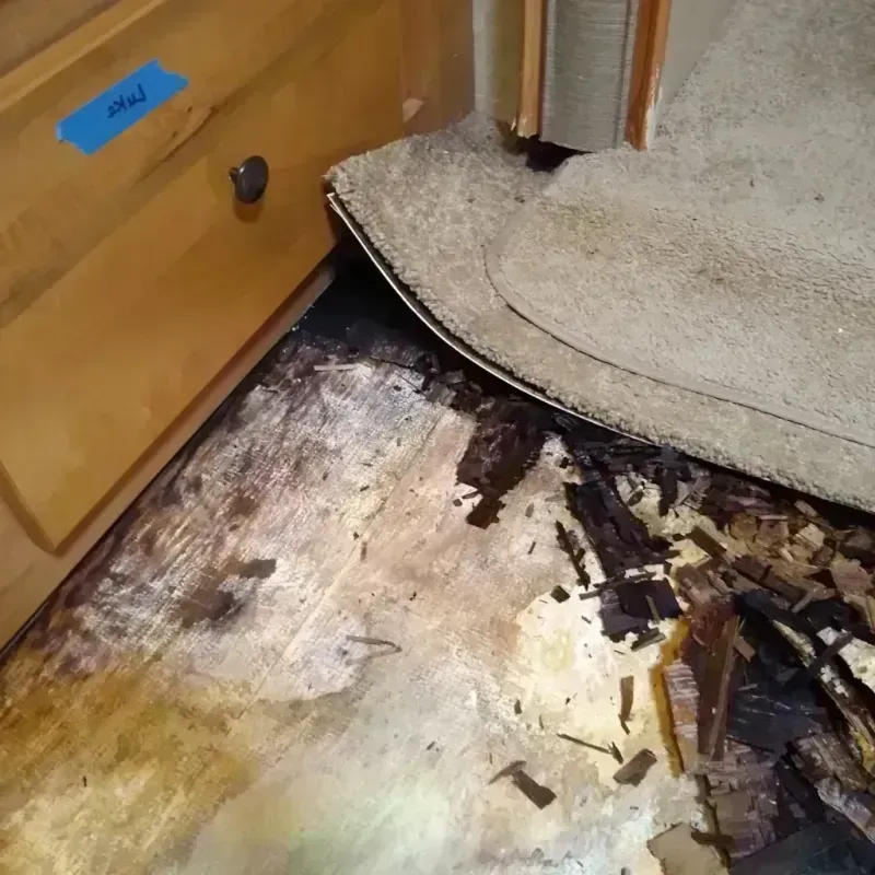 Wood Floor Water Damage in Ina, IL